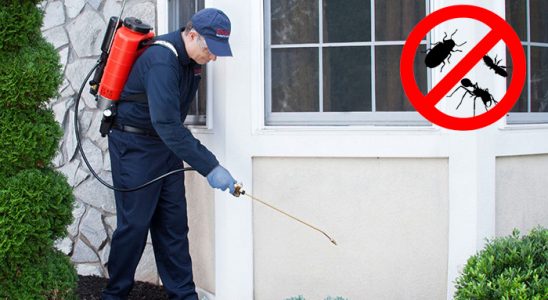 Bozyazı Gümüşkurt İlaçlama böcek ilaçlama ve haşere kontrolü — ilaclama-tr.com